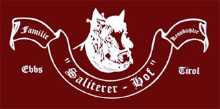 Reitschule Tirol am SALITERERHOF Ebbs bei Kufstein - Fam. Kronbichler | Reiten mit Kindern und Pferdekutschenfahrten